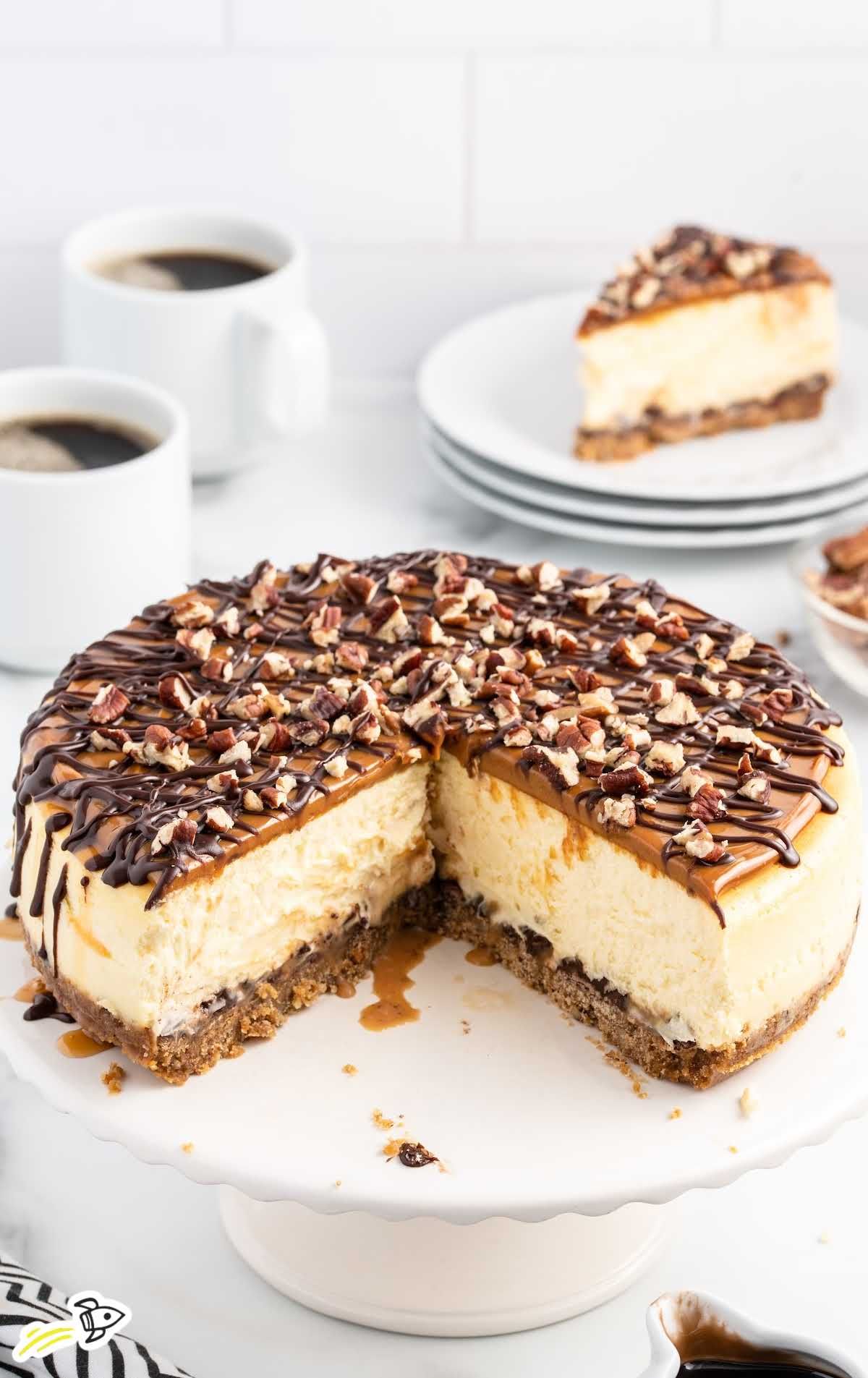 Cheesecake de Tortuga